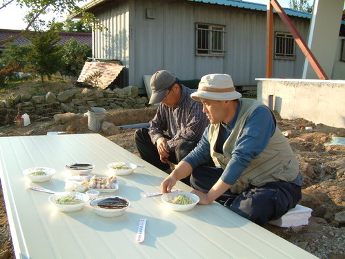 사용자 삽입 이미지