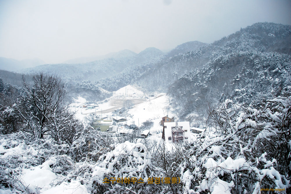 단양 스틸하우스 전원주택 소구리하우스 신축공사 현장 설경(雪景)