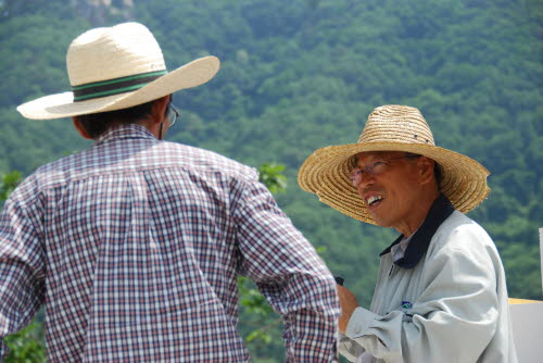 사용자 삽입 이미지