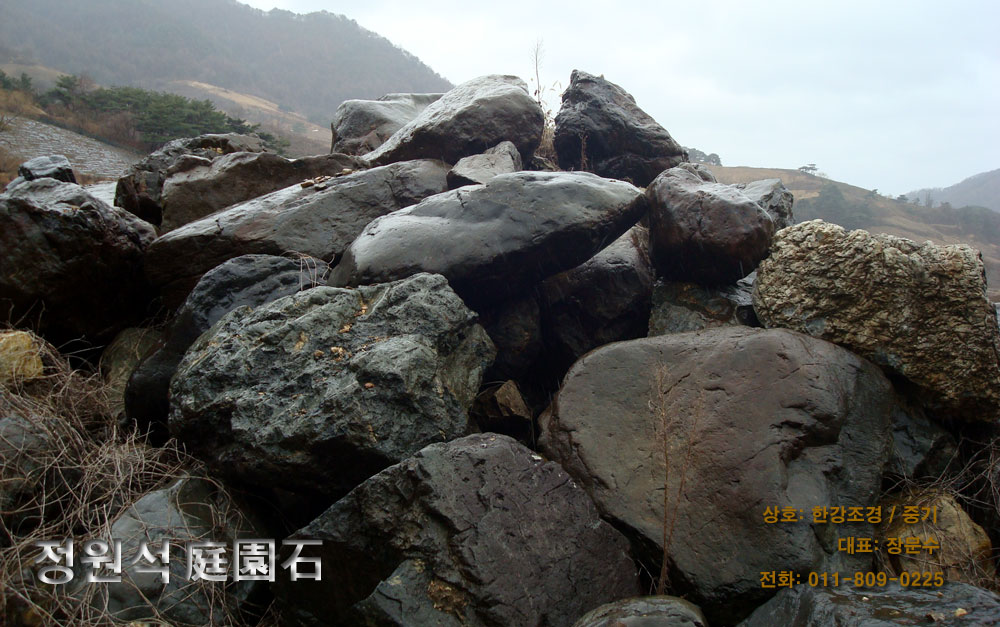 조경공사 협력업체 단양 한강조경중기 정원석(庭園石)