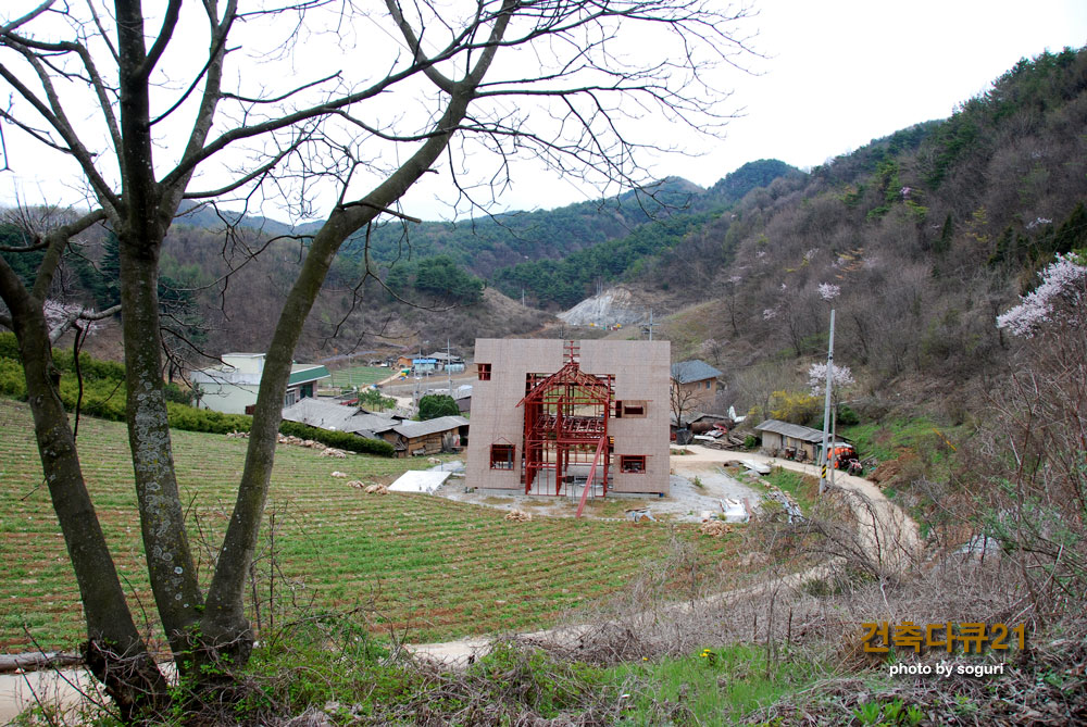 소동나무와 복층 스틸하우스 신축공사 현장의 봄날 