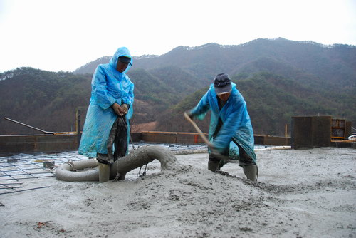 사용자 삽입 이미지