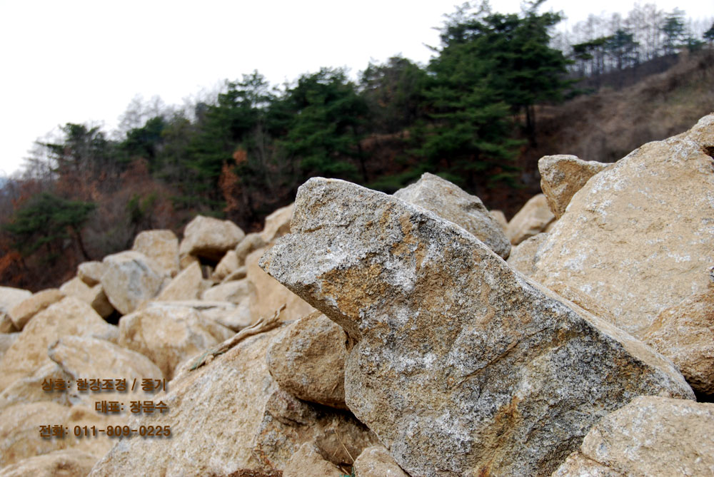 단양 한강조경중기 단양 자연석 야적장 