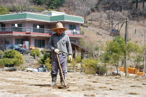 사용자 삽입 이미지