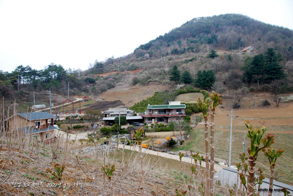  단양 소구리하우스 신축공사 현장 솔고개의 봄  2009