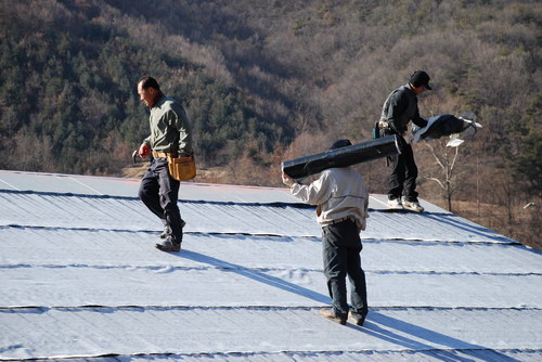 사용자 삽입 이미지