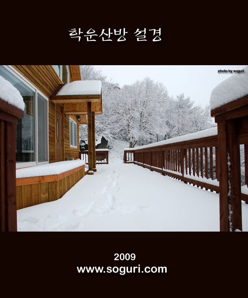 단양 복층 전원주택 데크 설경(雪景)