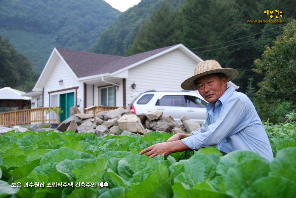 충북 보은군 오동리 사과나무 과수원집 건축주와 배추