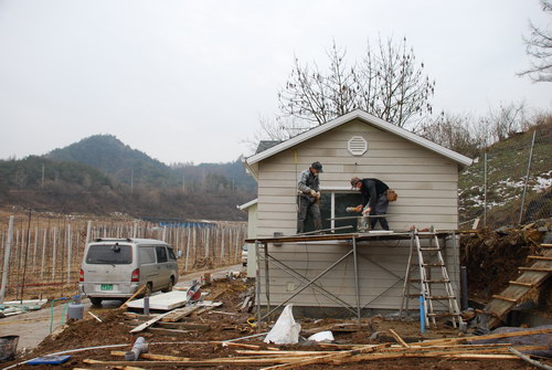 사용자 삽입 이미지